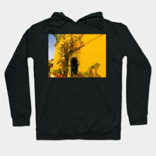 A Greek Garden Hoodie